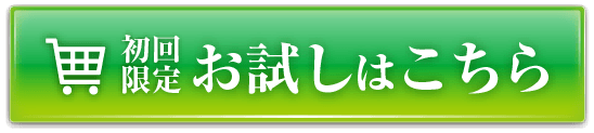 初回限定 お試しはこちら